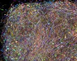 Fine Spectra Flash Dubbing, Multicolor